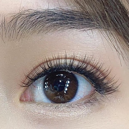 MLEN Popular Star Magnetic Lashes