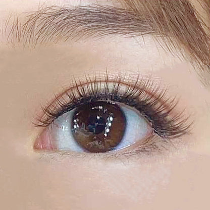 MLEN Honey Sweetheart Lashes