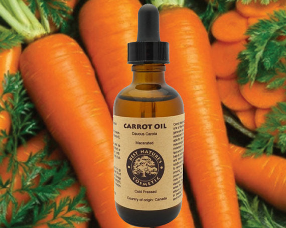 Macerated Carrot Body Oil